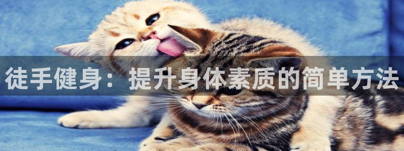 意昂4招商
