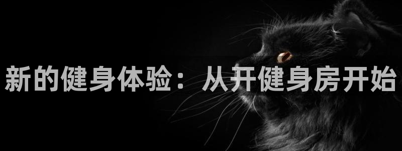 意昂4招商