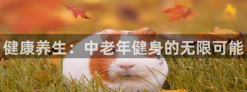 意昂4登录