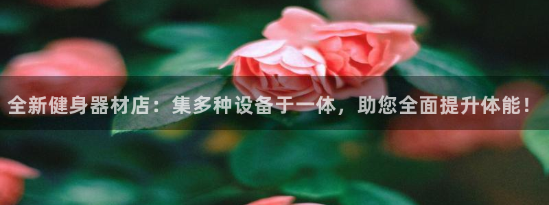 意昂4招商