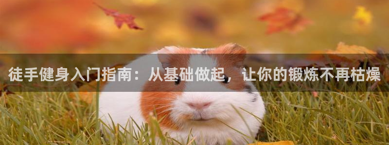 意昂4娱乐