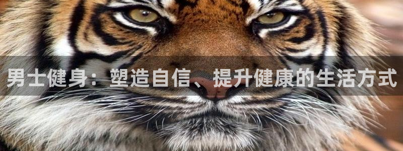 意昂4注册